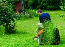 Kwikfynd Lawn Mowing
dingabledinga